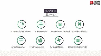 成都農(nóng)業(yè)品牌策劃營銷與產(chǎn)品包裝設(shè)計服務(wù)